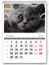 Kot Szafir - kalendarz SRA3 13-planszowy spiralowany 2018